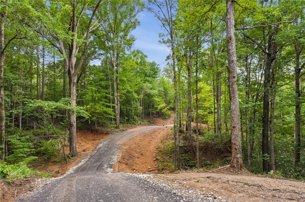 unimproved land for sale at Lot 2 Pete Path, Dallas, GA 30157 — photo 1 of 21