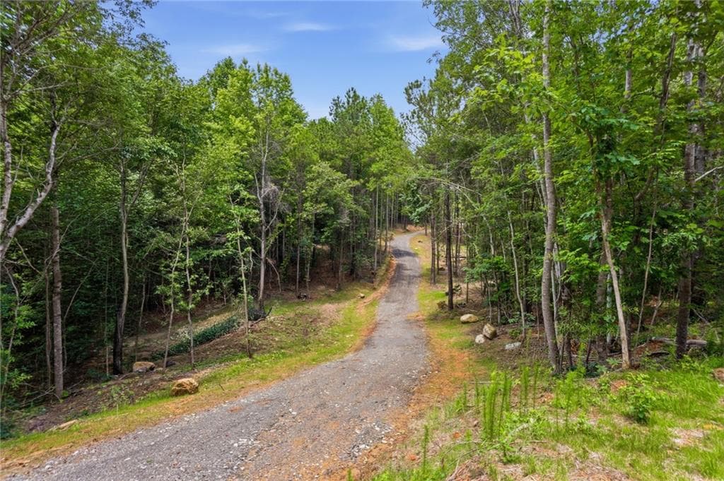 unimproved land for sale at Lot 4 Orlando Path, Dallas, GA 30157 — photo 8