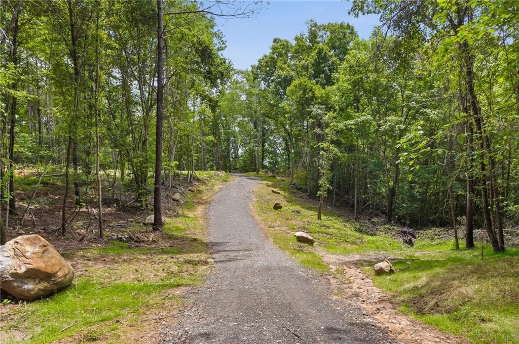 unimproved land for sale at Lot 1 Pete Path, Dallas, GA 30157 — photo 9