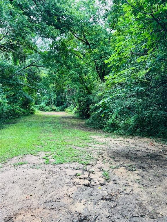 single family residence for sale at 14 Hamilton Bohannon Drive, Newnan, GA 30263 — photo 3