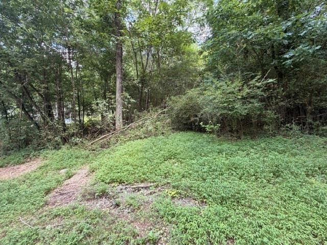 unimproved land for sale at 280 Nixon Road, Summerville, GA 30747