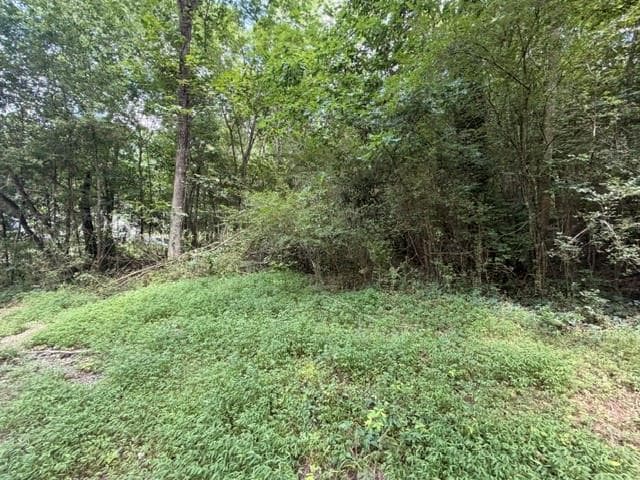 unimproved land for sale at 280 Nixon Road, Summerville, GA 30747 — photo 2