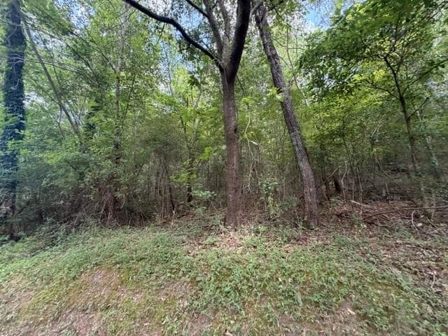 unimproved land for sale at 280 Nixon Road, Summerville, GA 30747 — photo 3