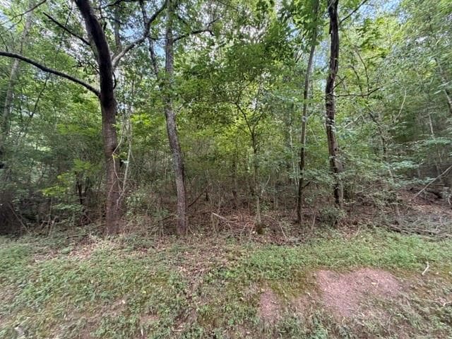 unimproved land for sale at 280 Nixon Road, Summerville, GA 30747 — photo 4