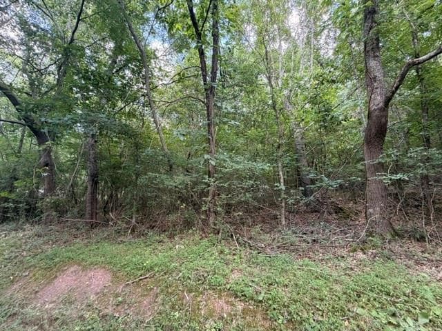 unimproved land for sale at 280 Nixon Road, Summerville, GA 30747 — photo 5