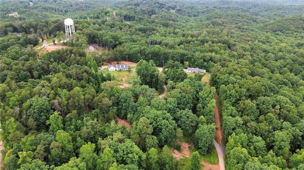 6 bedroom, 8 bathroom, 5,969 sq ft single family residence for sale at 20 Stancil Drive, Dawsonville, GA 30534 — photo 1 of 16