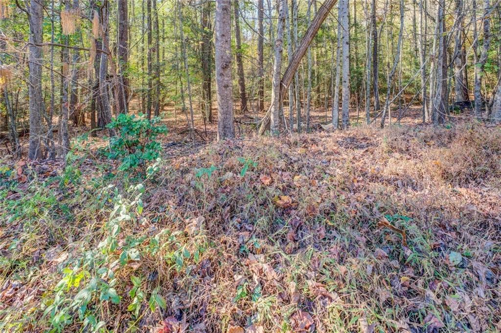 unimproved land for sale at 1480 River Station Drive, Lawrenceville, GA 30045 — photo 5