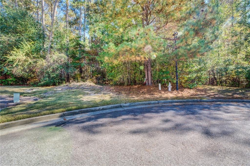 unimproved land for sale at 1480 River Station Drive, Lawrenceville, GA 30045 — photo 7