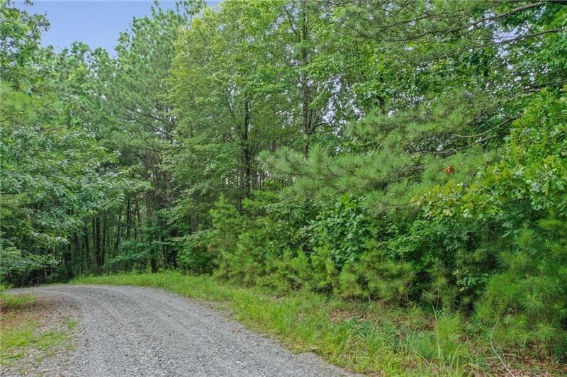 single family residence for sale at Lot39 Lakeside Trail, Ellijay, GA 30540 — photo 3