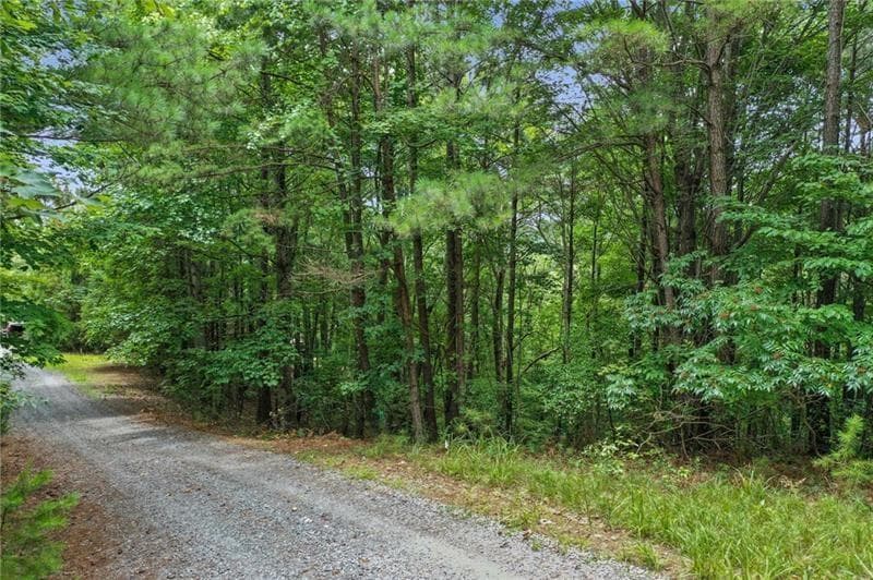 single family residence for sale at Lot39 Lakeside Trail, Ellijay, GA 30540 — photo 6