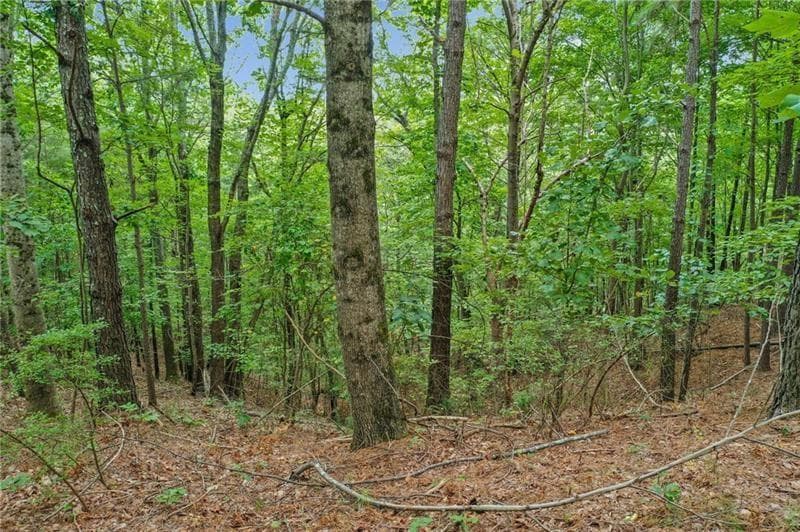 single family residence for sale at Lot39 Lakeside Trail, Ellijay, GA 30540 — photo 7