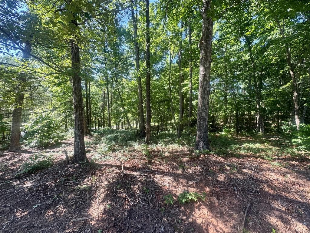unimproved land for sale at 0 TEEL MOUNTAIN DR, Cleveland, GA 30528