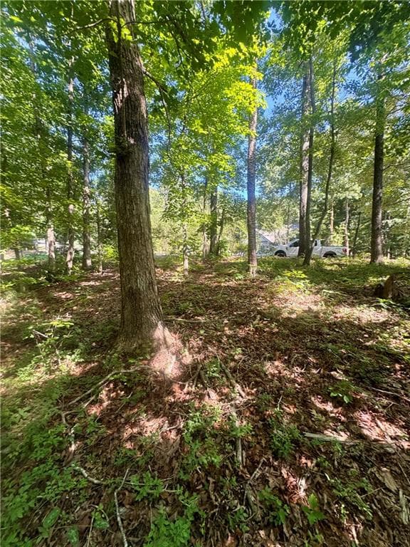 unimproved land for sale at 0 TEEL MOUNTAIN DR, Cleveland, GA 30528 — photo 2