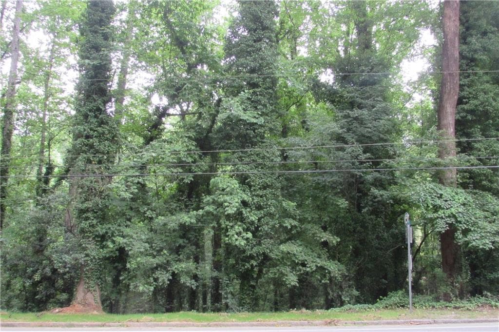 unimproved land for sale at 3136 Collier Drive, Atlanta, GA 30318 — photo 6