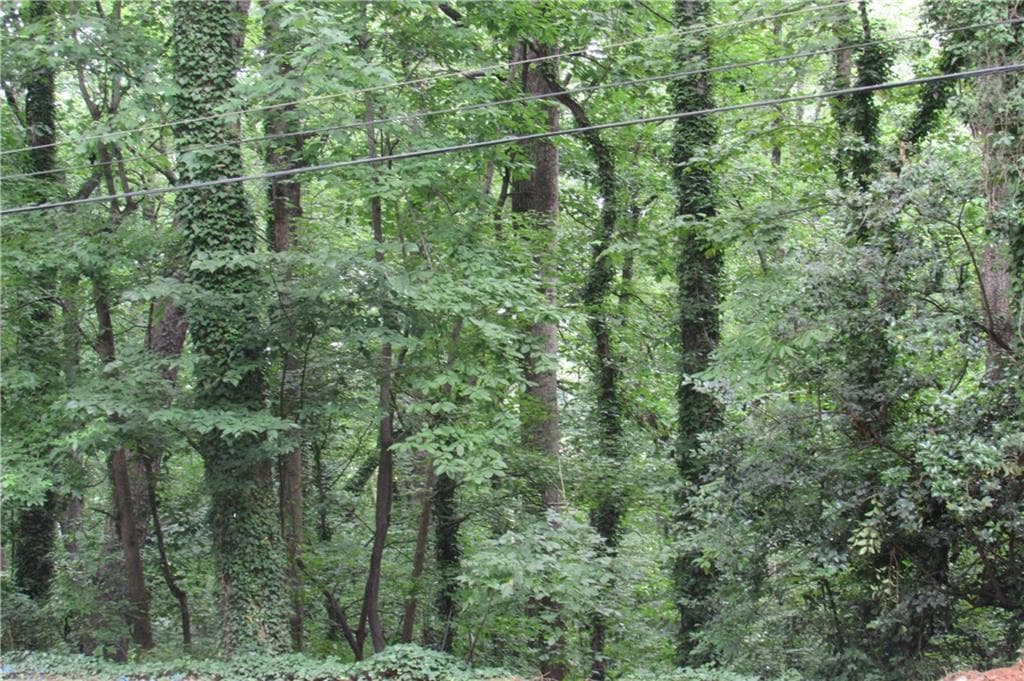 unimproved land for sale at 3136 Collier Drive, Atlanta, GA 30318 — photo 9