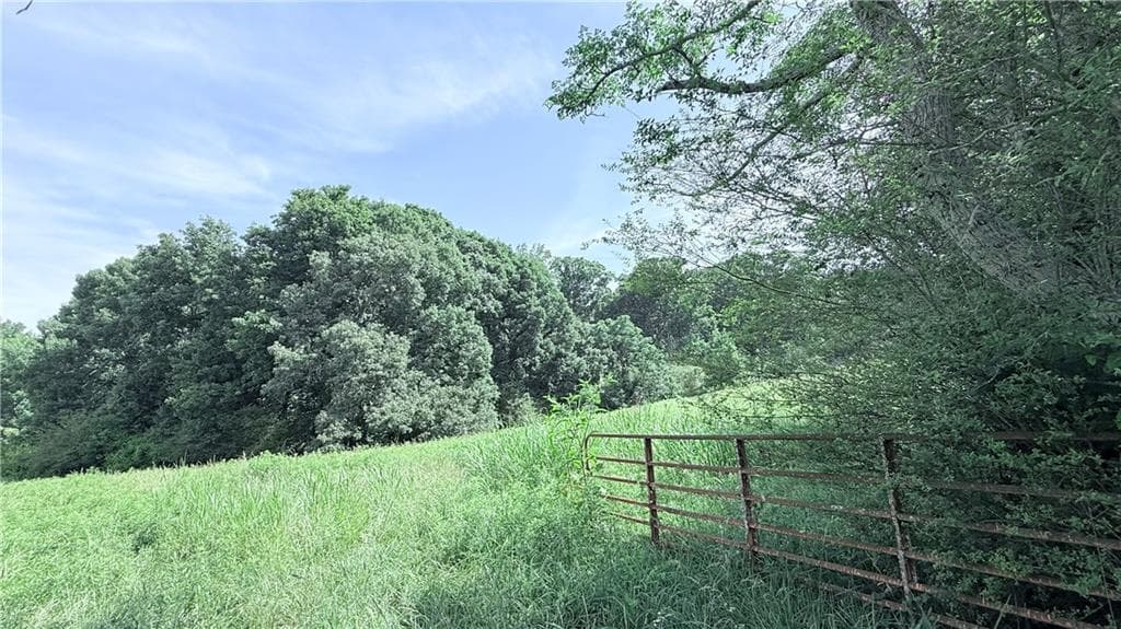 unimproved land for sale at 03 Claude Martin Road, Gainesville, GA 30506 — photo 4
