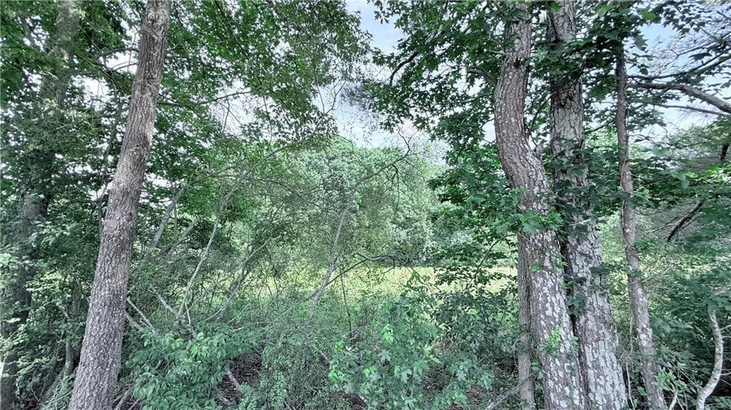 unimproved land for sale at 01 Claude Martin Road, Gainesville, GA 30506 — photo 6