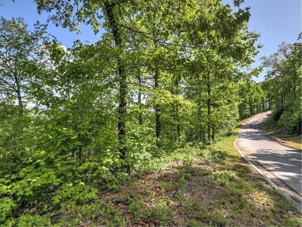 single family residence for sale at 0 Bent Grass Way, Clayton, GA 30525 — photo 8