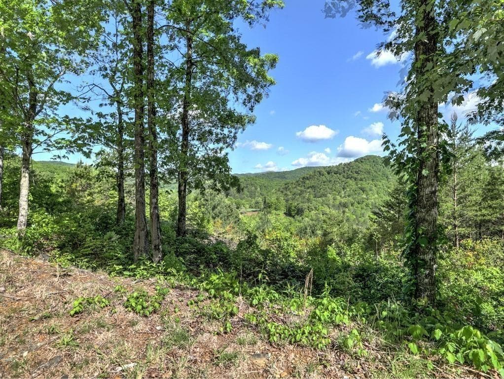 single family residence for sale at 0 Bent Grass Way, Clayton, GA 30525 — photo 9