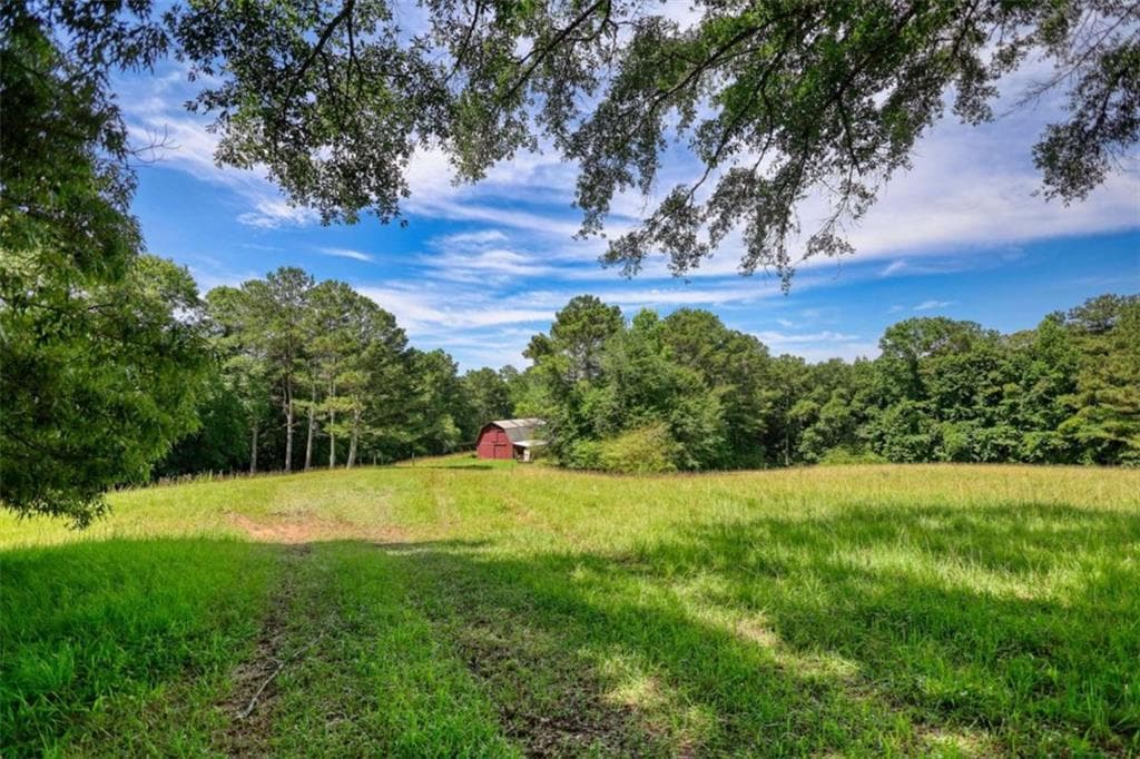 3 bedroom, 3 bathroom, 2,700 sq ft single family residence for sale at 2665 Macedonia Rd, Franklin, GA 30217 — photo 8