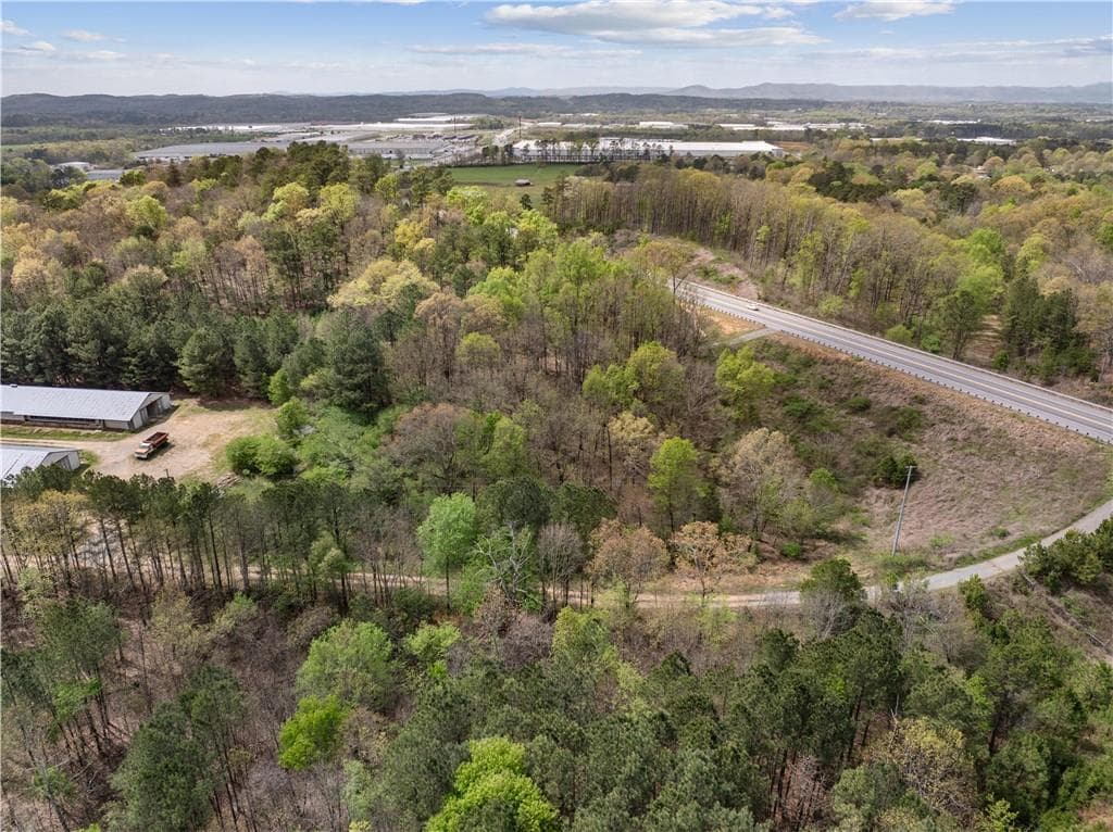 unimproved land for sale at 320 Thomason Drive, Adairsville, GA 30103 — photo 9