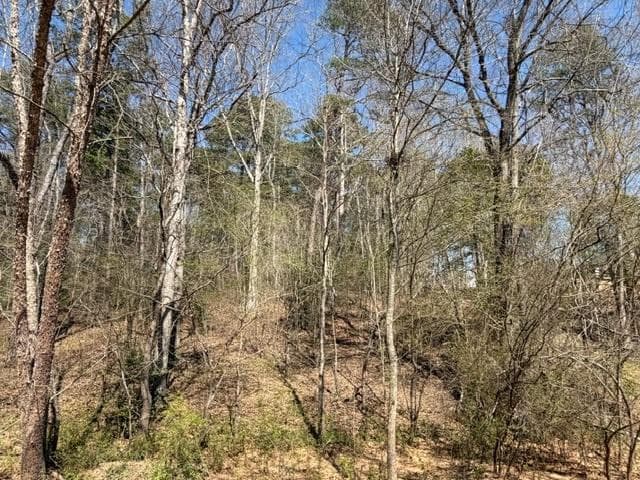 single family residence for sale at Lot 0 Jack Pittman Road, Dacula, GA 30019 — photo 2