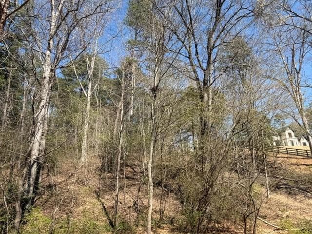 single family residence for sale at Lot 0 Jack Pittman Road, Dacula, GA 30019 — photo 5
