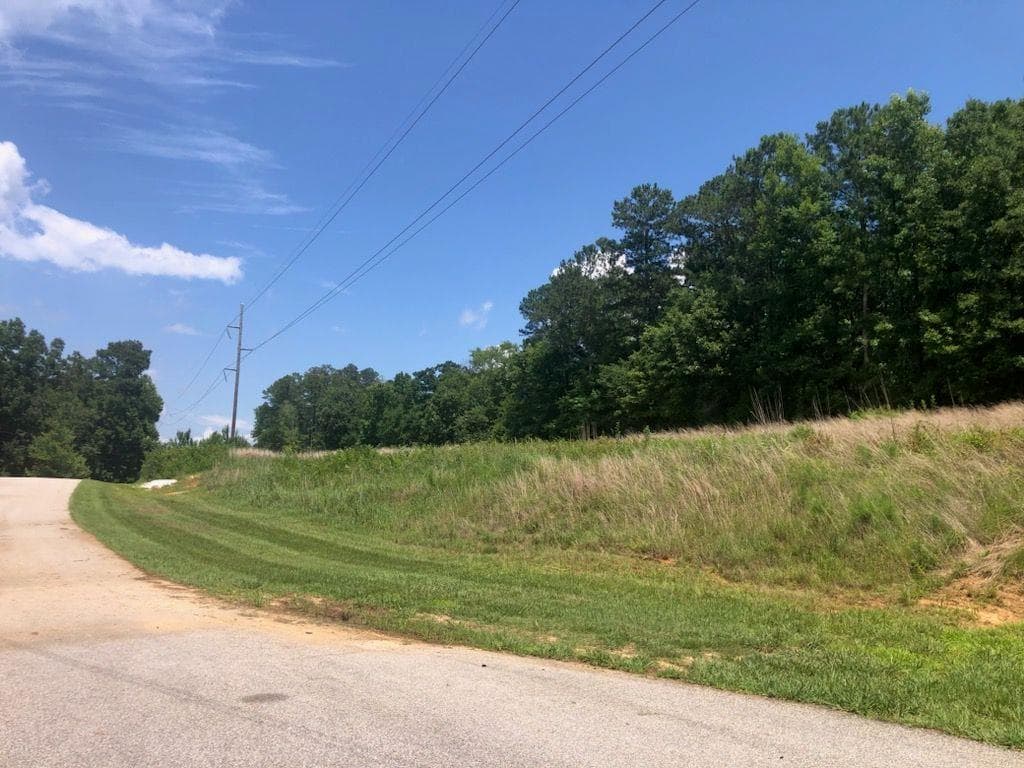 other for sale at 1860 Northwoods Drive, Greensboro, GA 30642 — photo 4