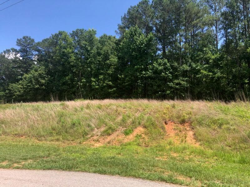 other for sale at 1860 Northwoods Drive, Greensboro, GA 30642 — photo 5