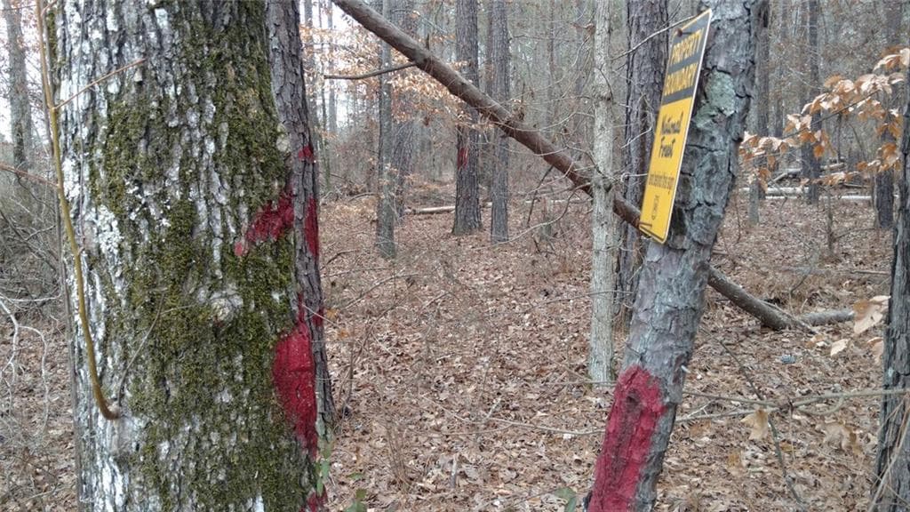 other for sale at 1860 Northwoods Drive, Greensboro, GA 30642 — photo 9