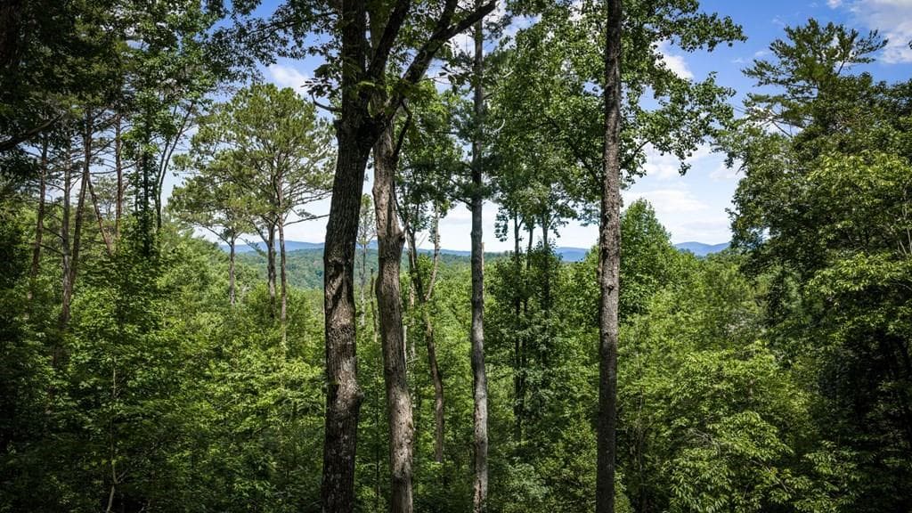 4 bedroom, 4 bathroom, 3,888 sq ft single family residence for sale at 290 Graham Court, Ellijay, GA 30540 — photo 3