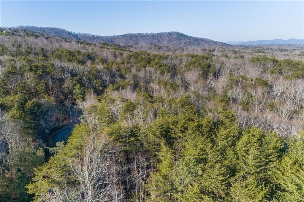 other for sale at 249 Owl Ridge Way, Jasper, GA 30143 — photo 3