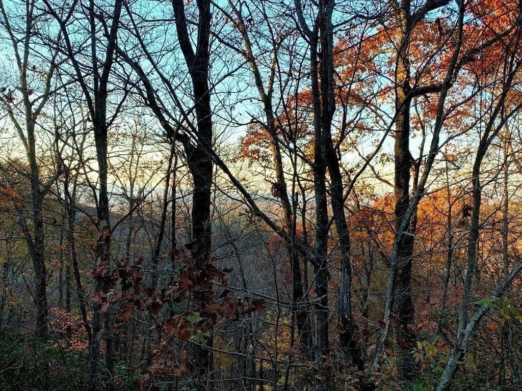 other for sale at 249 Owl Ridge Way, Jasper, GA 30143 — photo 4
