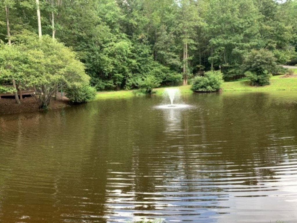other for sale at 249 Owl Ridge Way, Jasper, GA 30143 — photo 10