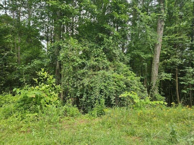 single family residence for sale at 2435 Hi Roc Circle, Conyers, GA 30012
