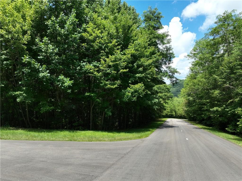 single family residence for sale at 122 Cloudland Drive, Ellijay, GA 30536 — photo 8
