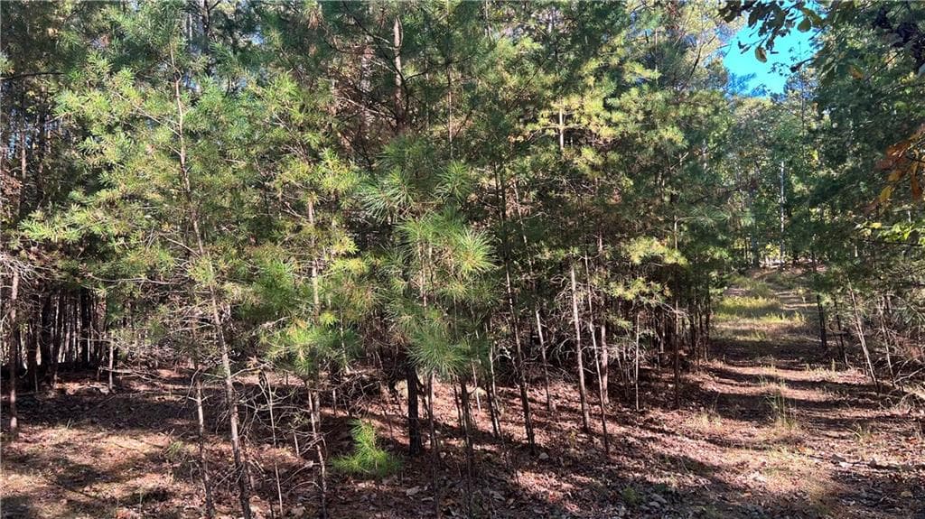 other for sale at 3455 Little Refuge Road, Waleska, GA 30183 — photo 3