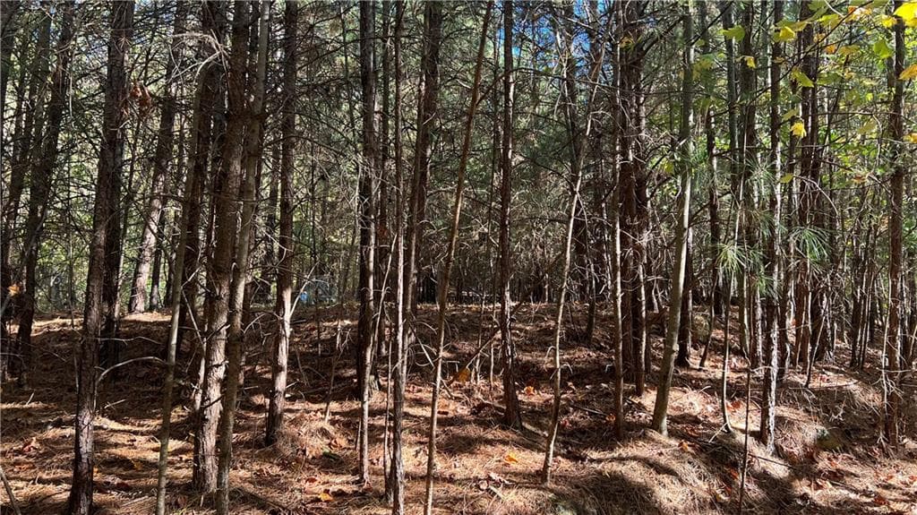 other for sale at 3455 Little Refuge Road, Waleska, GA 30183 — photo 4