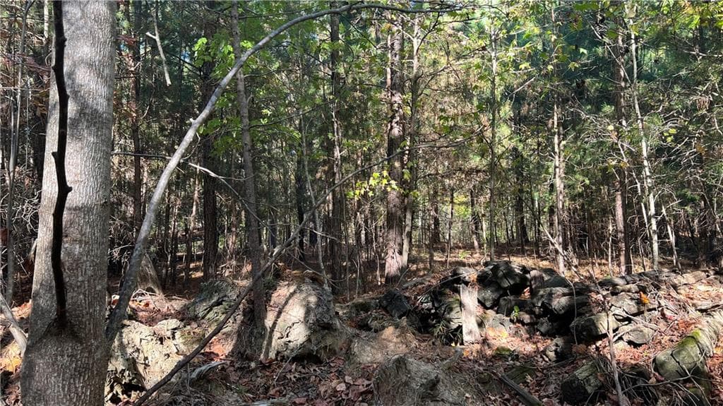 other for sale at 3455 Little Refuge Road, Waleska, GA 30183 — photo 5
