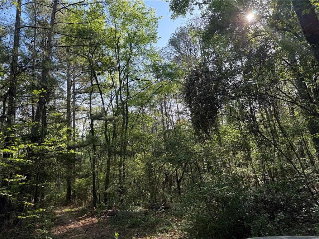 unimproved land for sale at 0 Clear Lake Drive, Adairsville, GA 30103