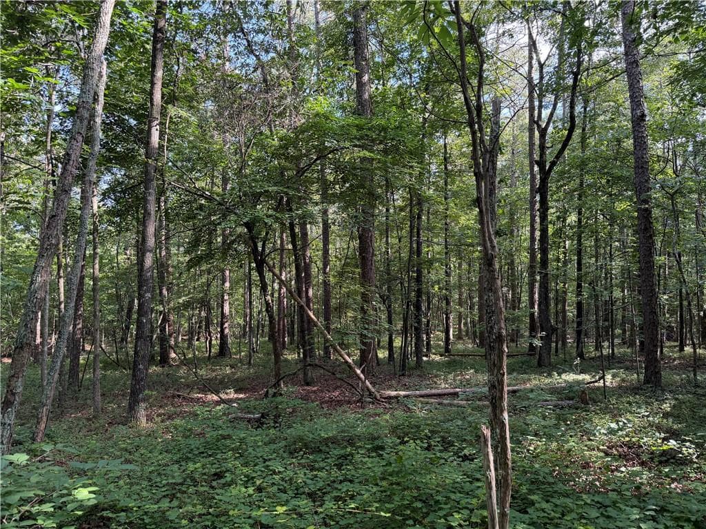 unimproved land for sale at 0 Clear Lake Drive, Adairsville, GA 30103 — photo 2