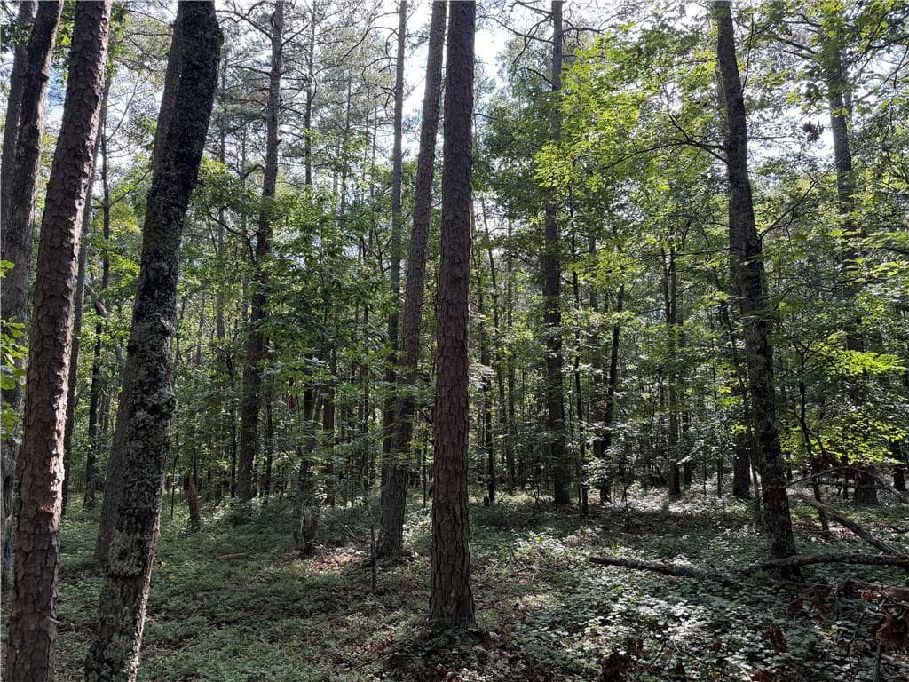 unimproved land for sale at 0 Clear Lake Drive, Adairsville, GA 30103 — photo 3