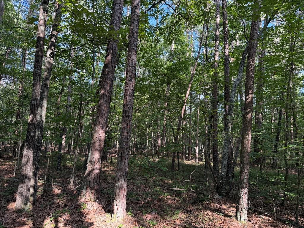 unimproved land for sale at 0 Clear Lake Drive, Adairsville, GA 30103 — photo 4