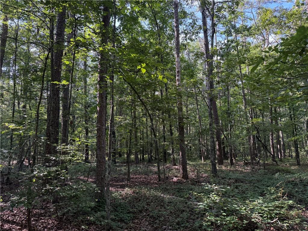 unimproved land for sale at 0 Clear Lake Drive, Adairsville, GA 30103 — photo 5