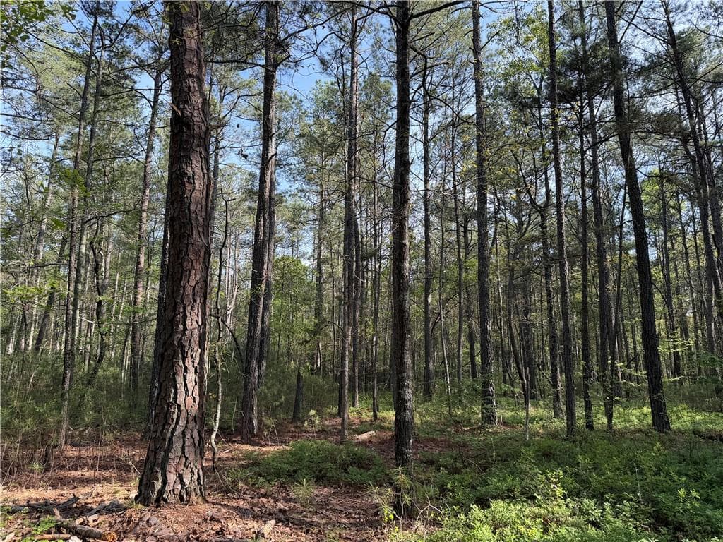 unimproved land for sale at 0 Clear Lake Drive, Adairsville, GA 30103 — photo 7