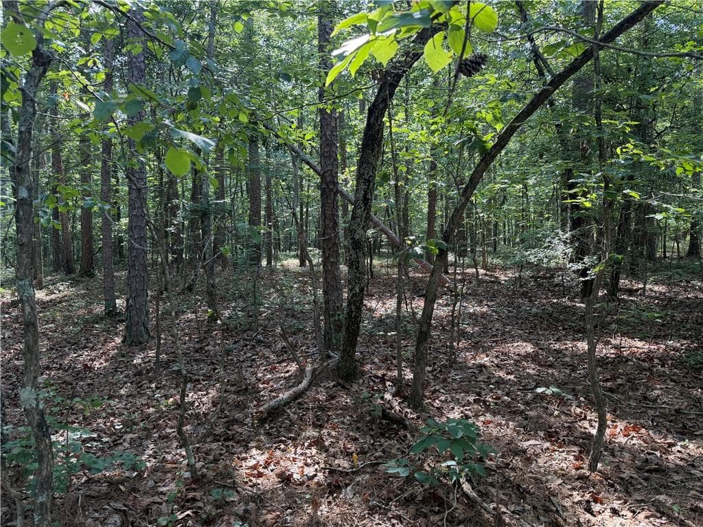 unimproved land for sale at 0 Clear Lake Drive, Adairsville, GA 30103 — photo 8