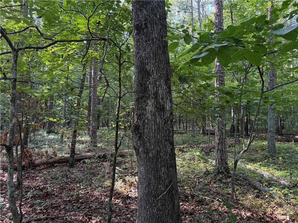 unimproved land for sale at 0 Clear Lake Drive, Adairsville, GA 30103 — photo 9