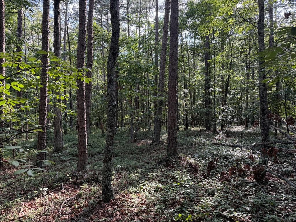 unimproved land for sale at 0 Clear Lake Drive, Adairsville, GA 30103 — photo 10