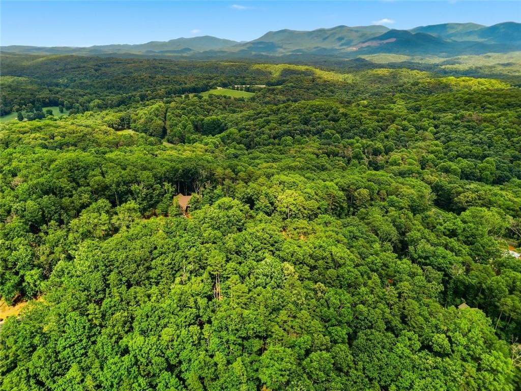 unimproved land for sale at Lot 11 Weeks Dr., Ellijay, GA 30540 — photo 5