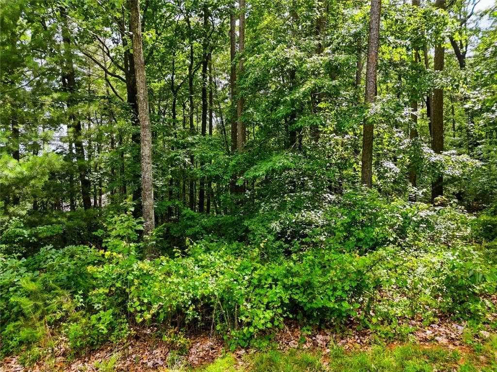 unimproved land for sale at Lot 11 Weeks Dr., Ellijay, GA 30540 — photo 6
